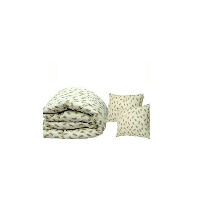 Set pilota din puf de gasca + 2 perne 50×70 cm