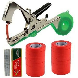 Cleste de legat vita de vie cu 10 role banda + 10.000 capse