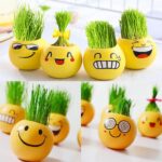 4 x Mini Ghiveci Emoji Plantator Decorativ