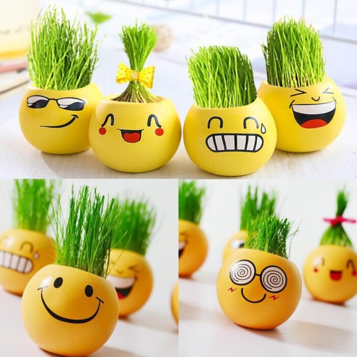4 x Mini Ghiveci Emoji Plantator Decorativ